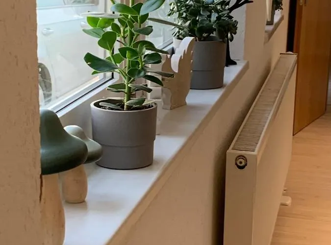 3-sterne-ferienwohnung Beer * Sondershausen