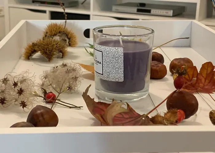 Apartment 3-sterne-ferienwohnung Beer Sondershausen